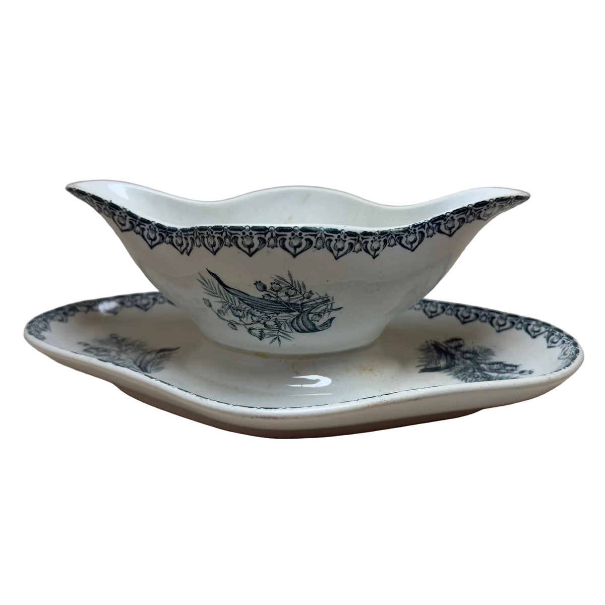 Saucière d'Antan Botanique