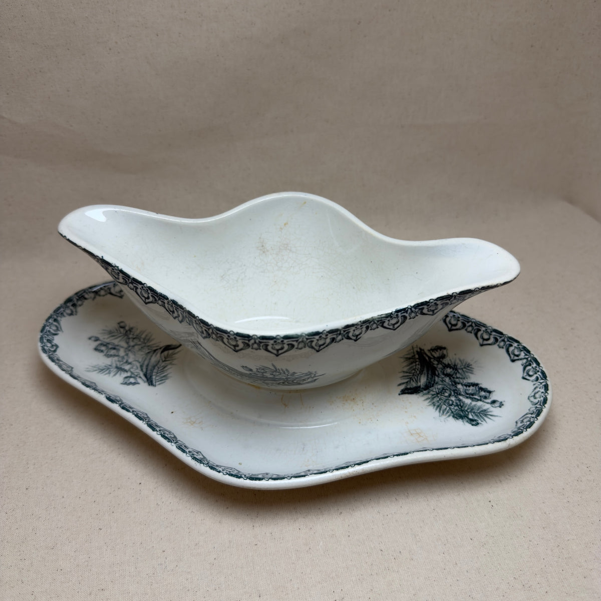 Saucière d'Antan Botanique