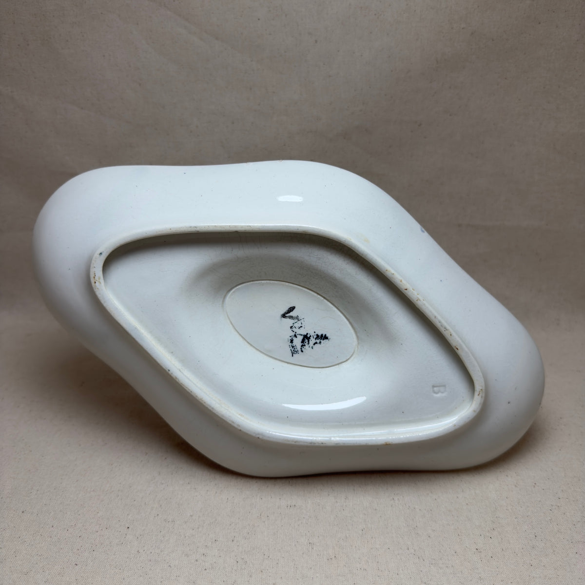 Saucière d'Antan Botanique